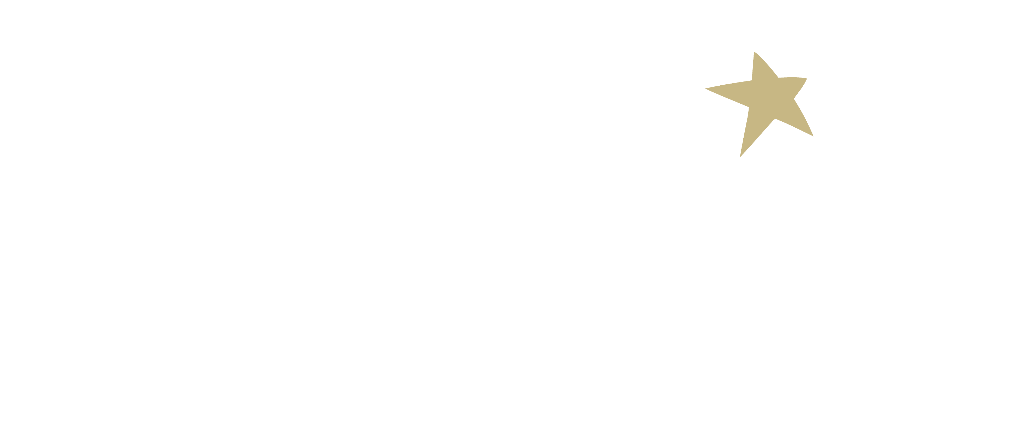 Logotipo Christmas by Starlite